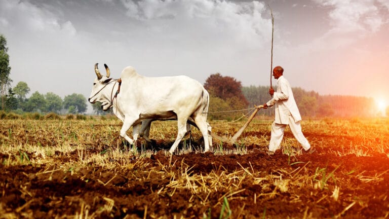 खोरठा एकांकी : किसानेक आत्महत्या 1 Untitled-1